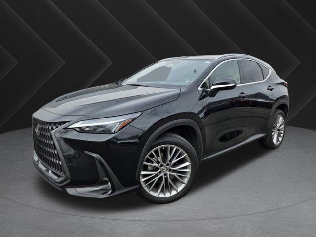 2023 Lexus NX 350h Premium