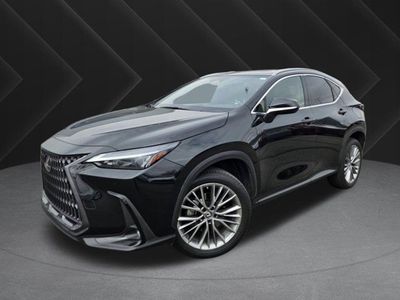 2023 Lexus NX 350h Premium