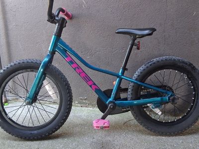 Lightly Used 2025 Trek Precaliber 16 inch child's bike