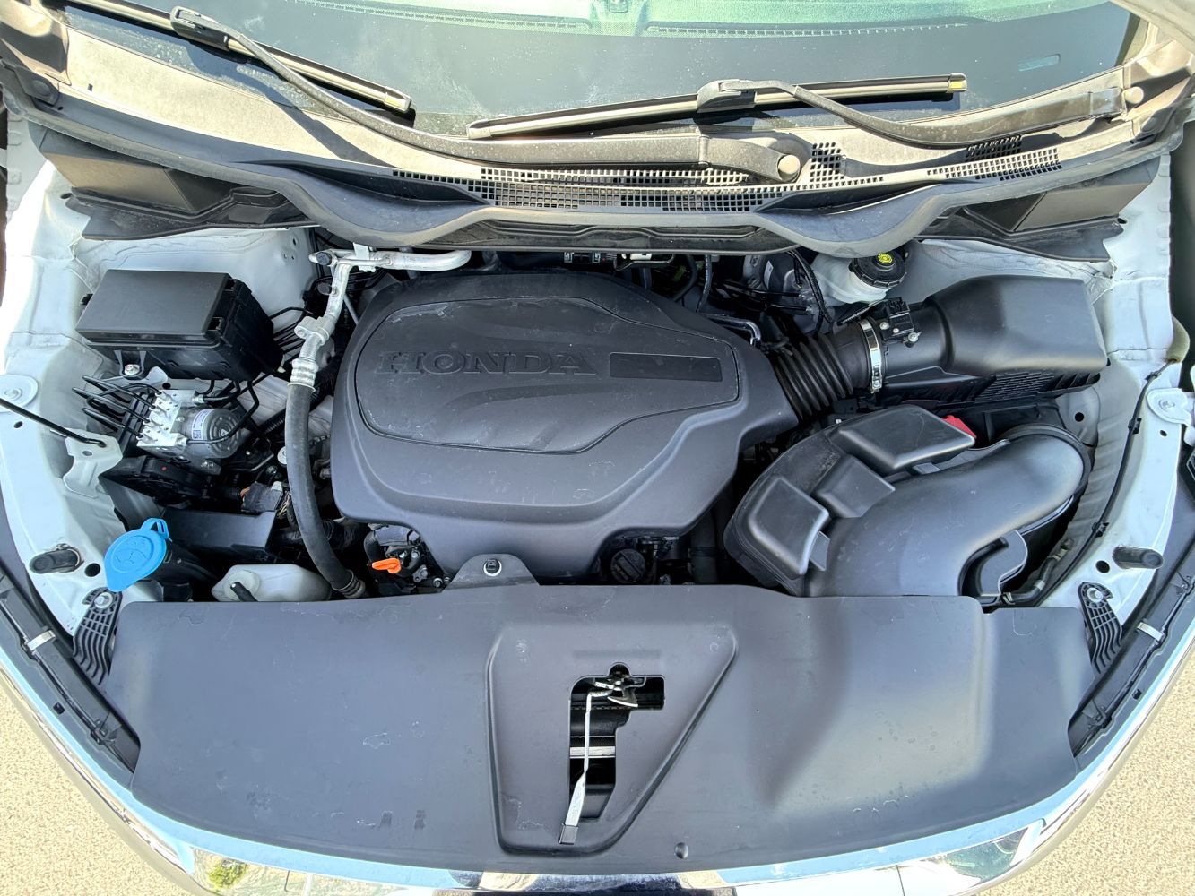Main image 4