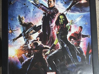 Set of 5 24x36 Frames w/Posters