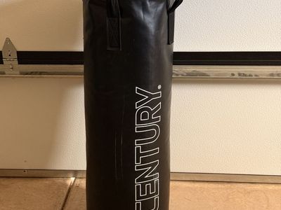 75lbs punching bag