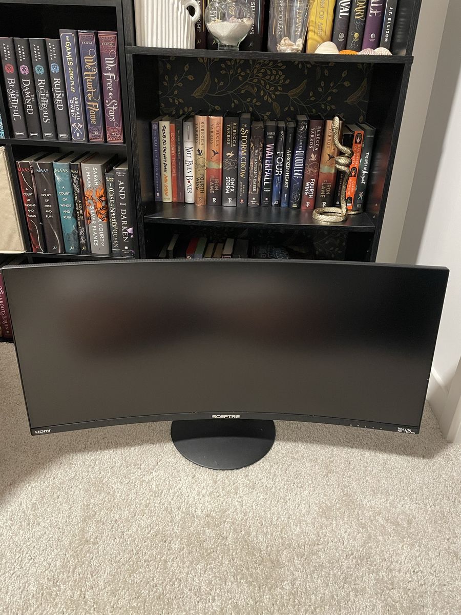 Sceptre 24" Curved 100Hz 1080p HDMI LED Gaming Monitor - Black, Used