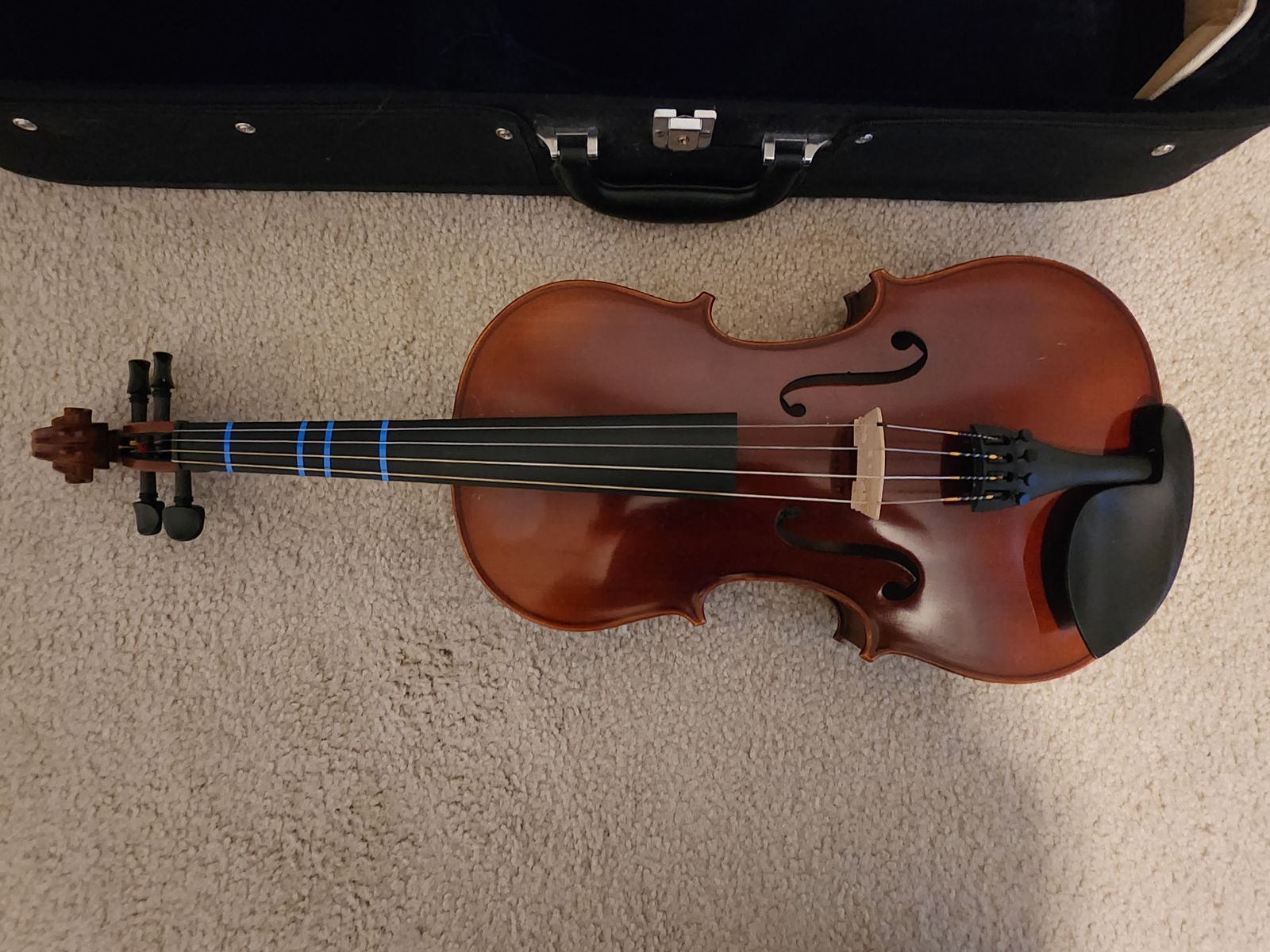 Full Size Viola