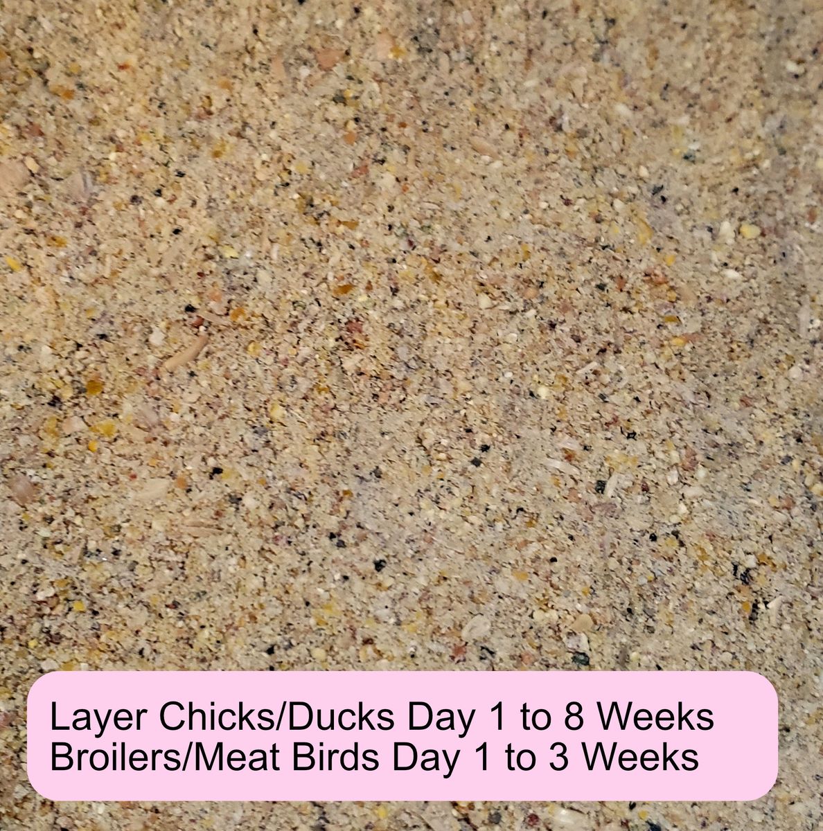 22% Premium Chick Feed 50lbs