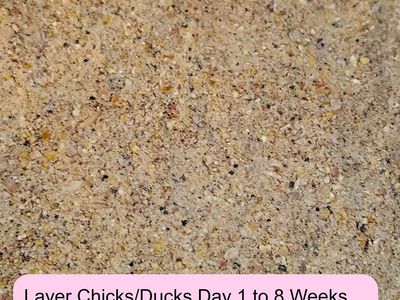 22% Premium Chick Feed 50lbs