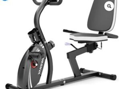 Vanswe Recumbent Bike