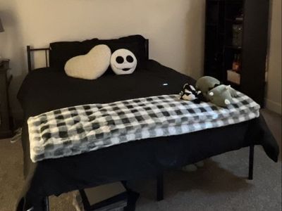 Bed frame and mattress