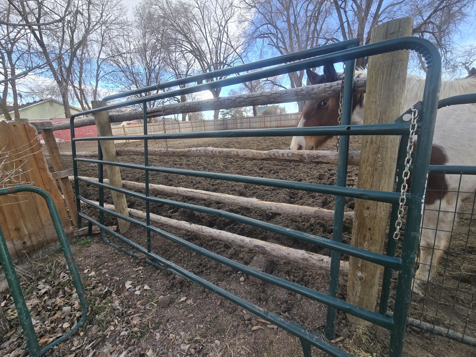 12' Horse Panels / Cattle Panels (Used)
