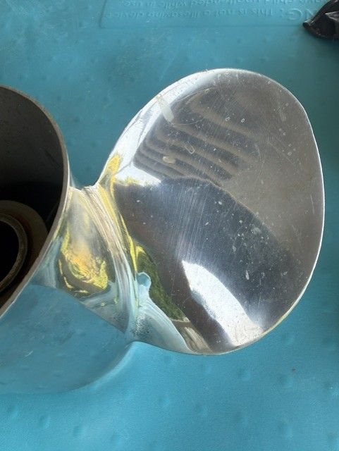 Main image 7