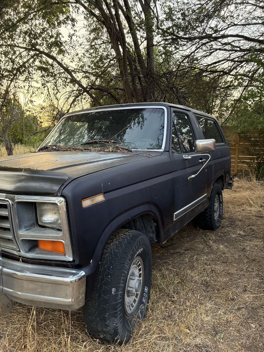 1983 Ford Bronco 