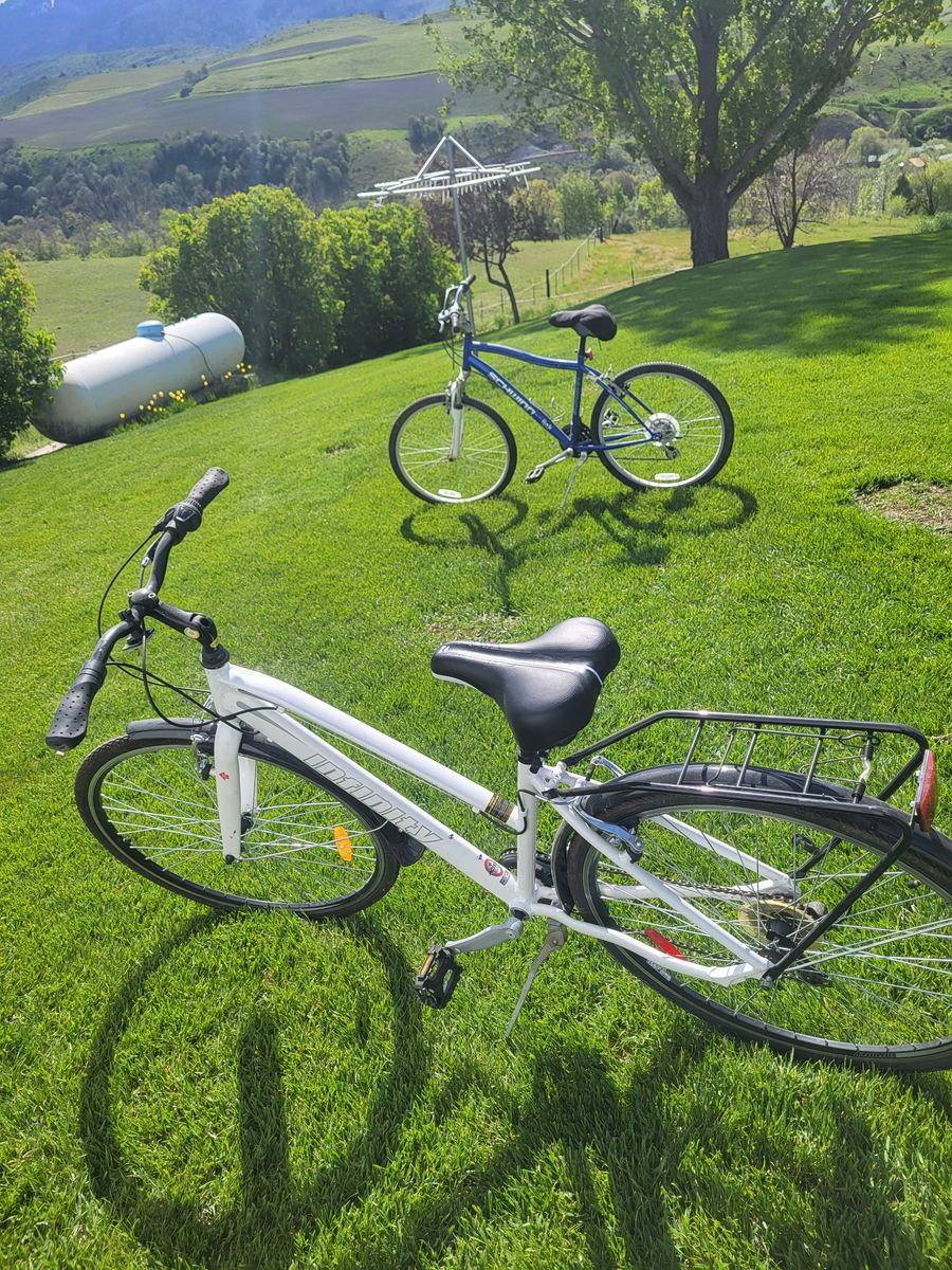 Adult bikes
