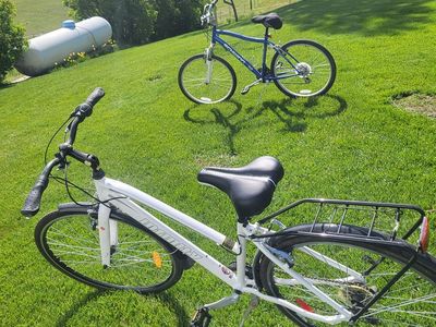 Adult bikes