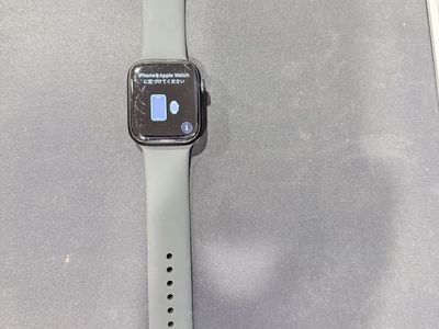 Apple Watch Series 7 (GPS + Cellular, 45MM)