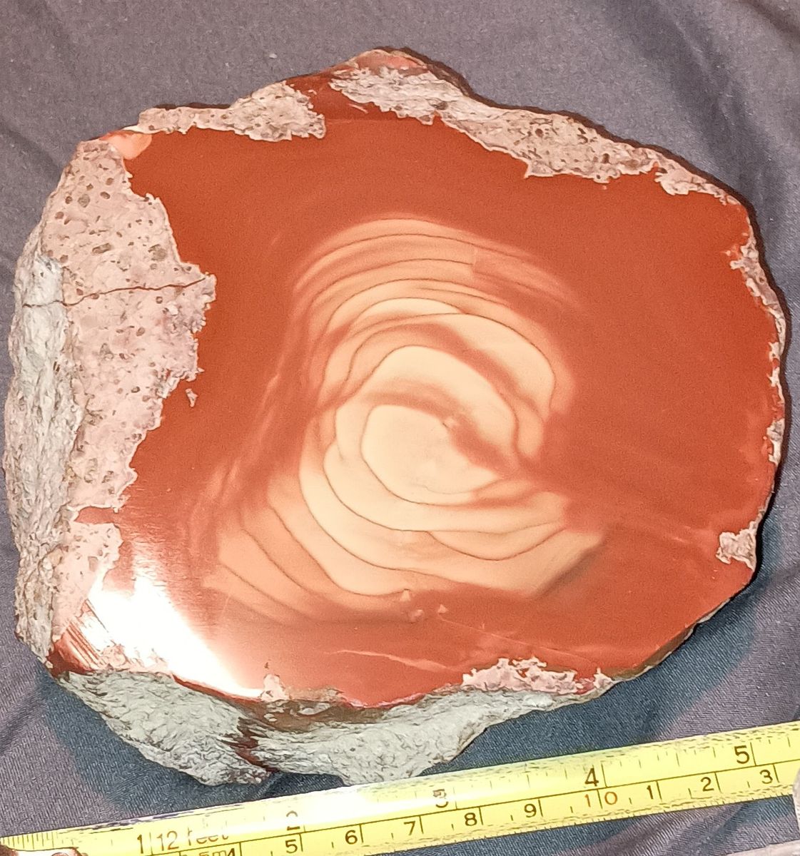 Royal Imperial Jasper! Lapidary Stone