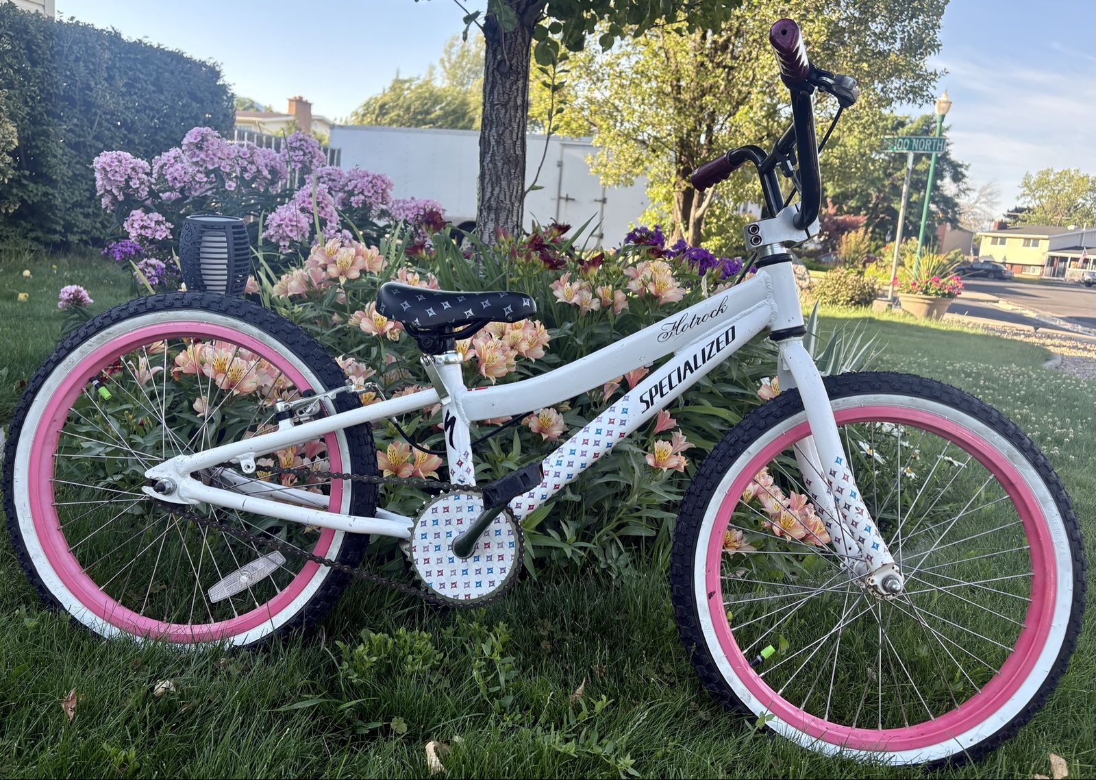 20” Specialized Hot Rock bike