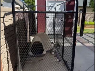 K9Kennels Large 4x8 Dog Kennel w/ Igloo, Swivel Bowl System & Corrugated Metal Roof