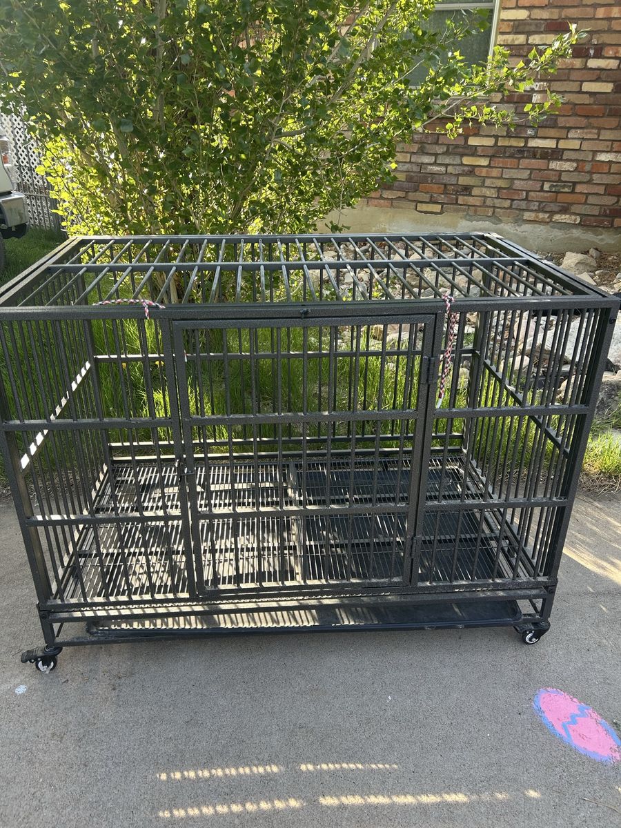 Kennel/ Large Breed Dog Kennel