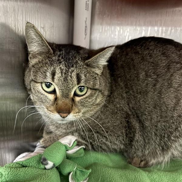 Hello my name is Rene