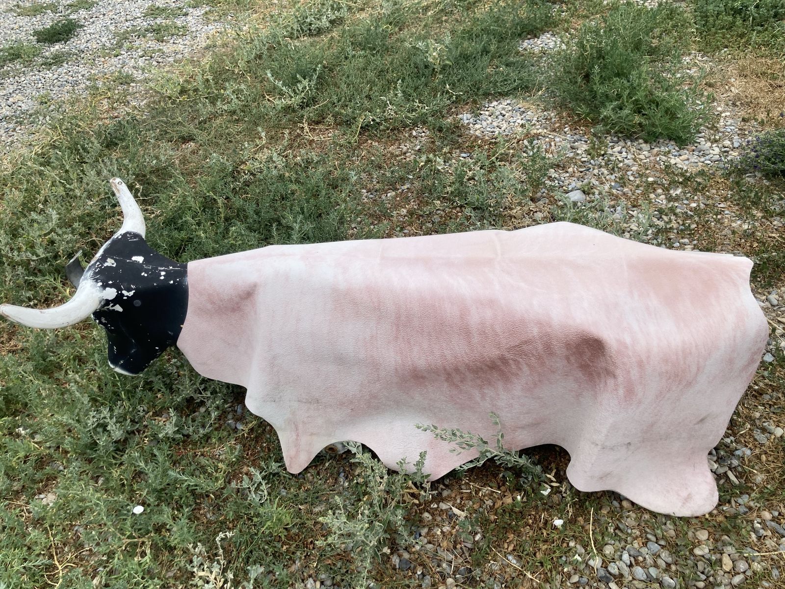 Lifesize Steer Practice Dummy for Roping/Rodeo - Black Head with White Horn-steer