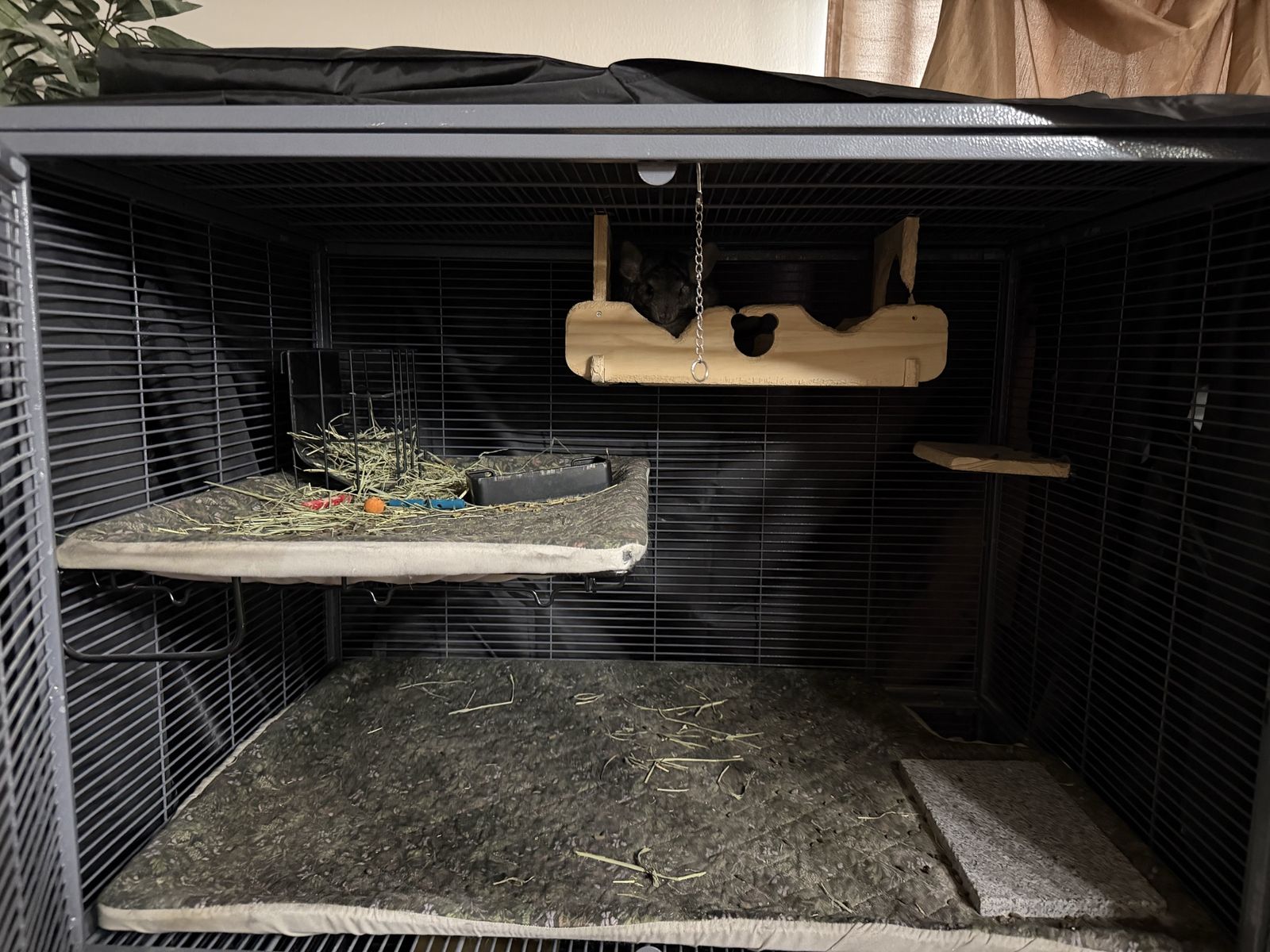 Main image 6