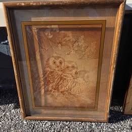 Owl Glass Print Wildlife Series