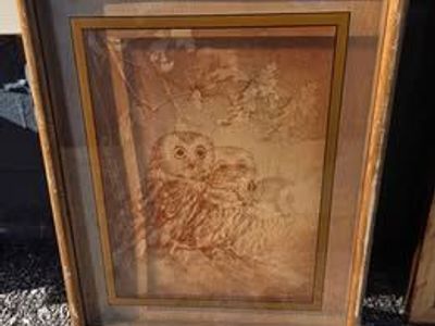 Owl Glass Print Wildlife Series