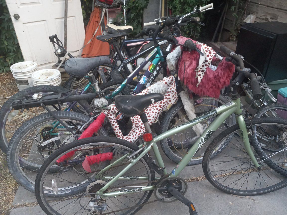 lots of bikes