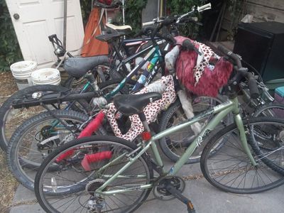 lots of bikes