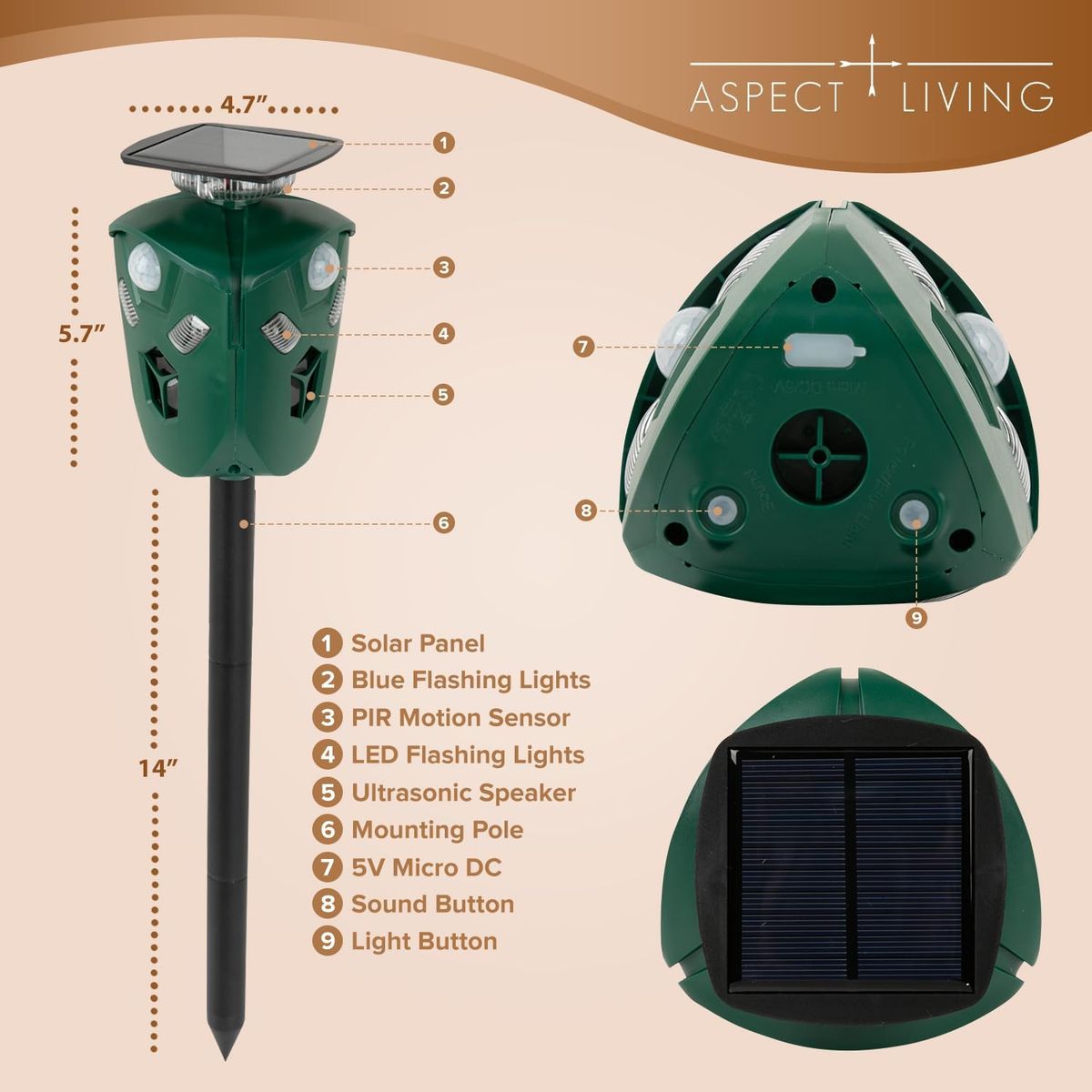 Main image 2