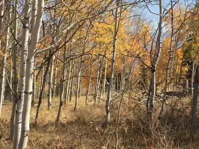 0.45 acre lot on Scofield Reservoir