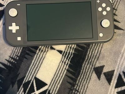 Nintendo switch light