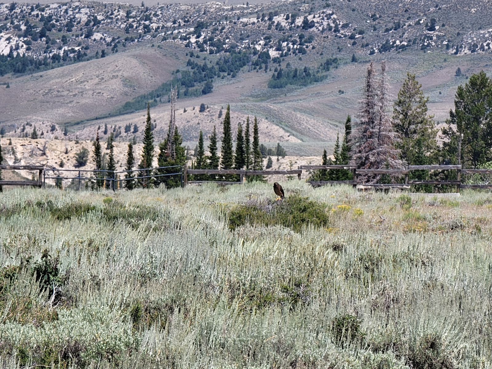 Main image 13