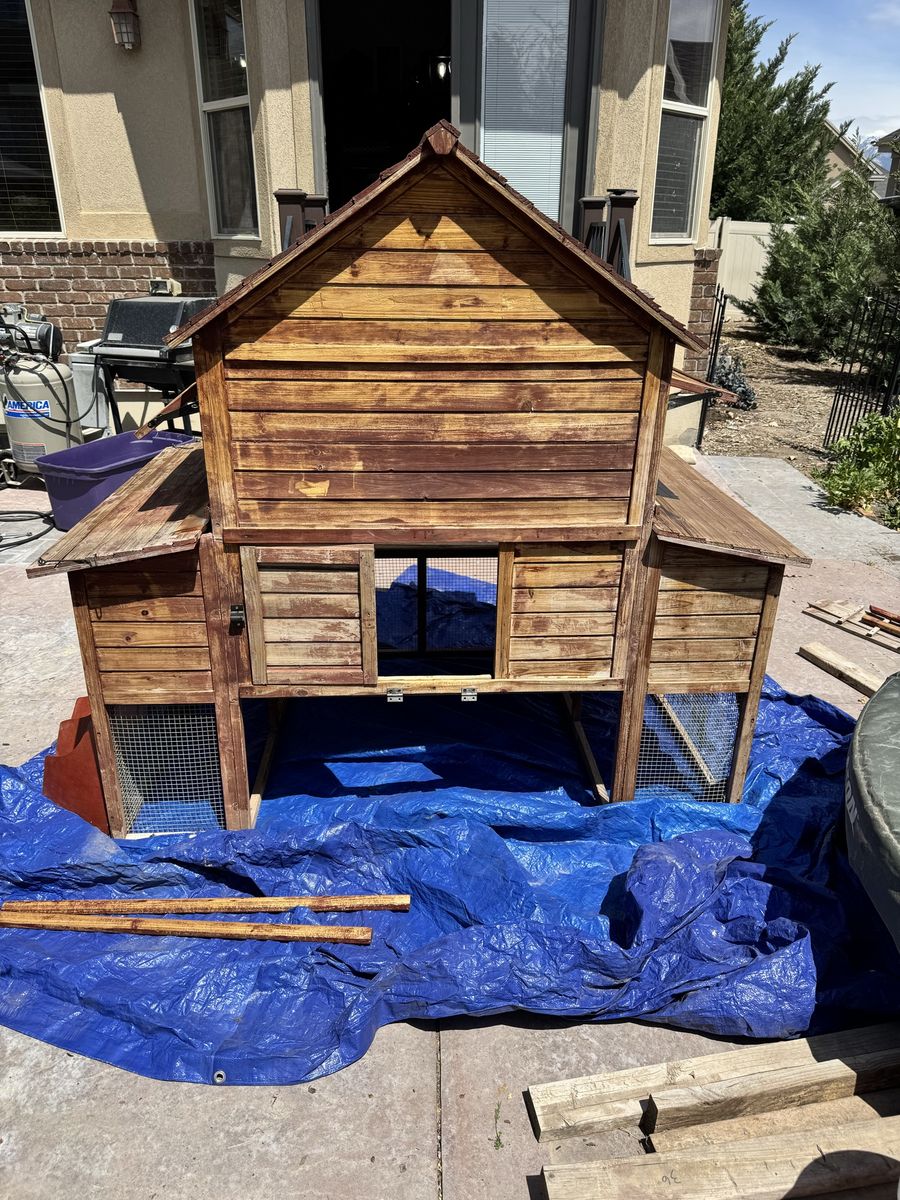 Chicken Coop