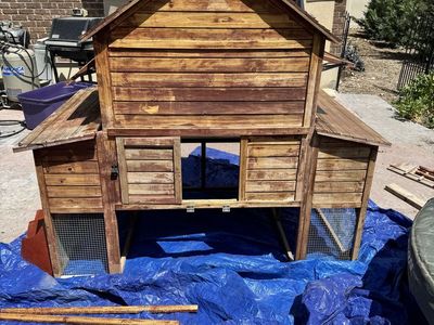 Chicken Coop