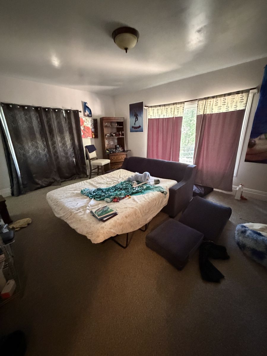Main image 6