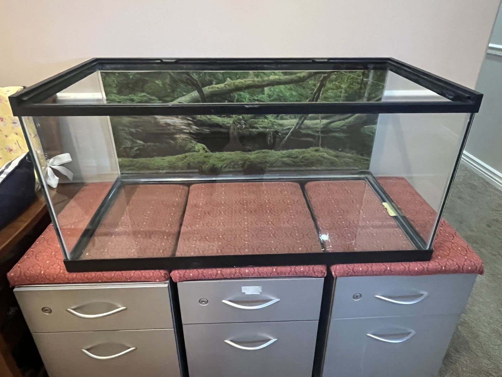 aquarium, fish tank, reptile, or small animal habitat