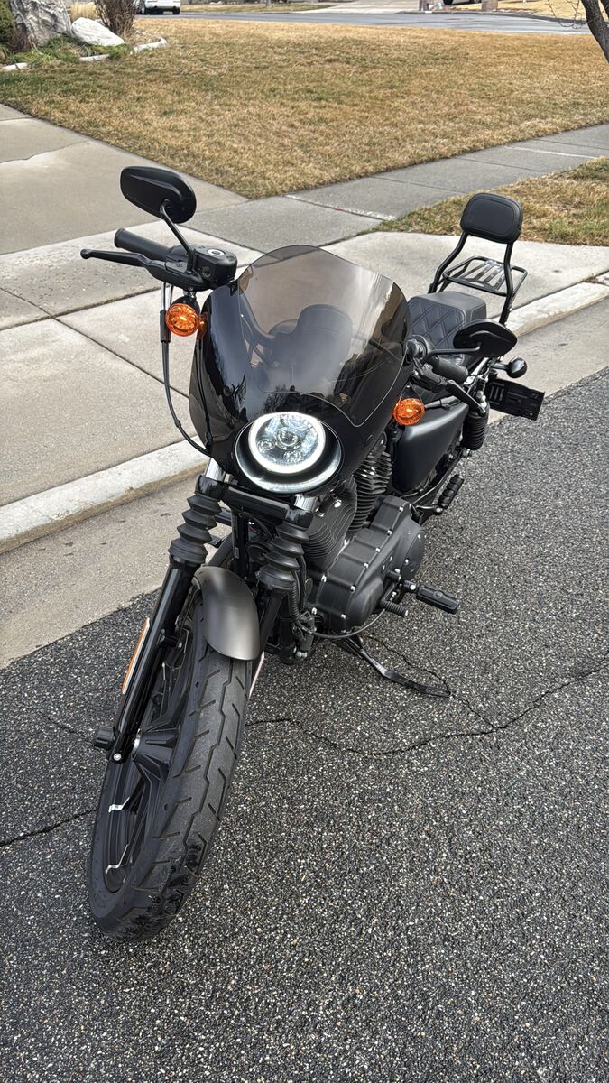 2021 Harley Davidson Iron  XL883 - 3,100 Miles