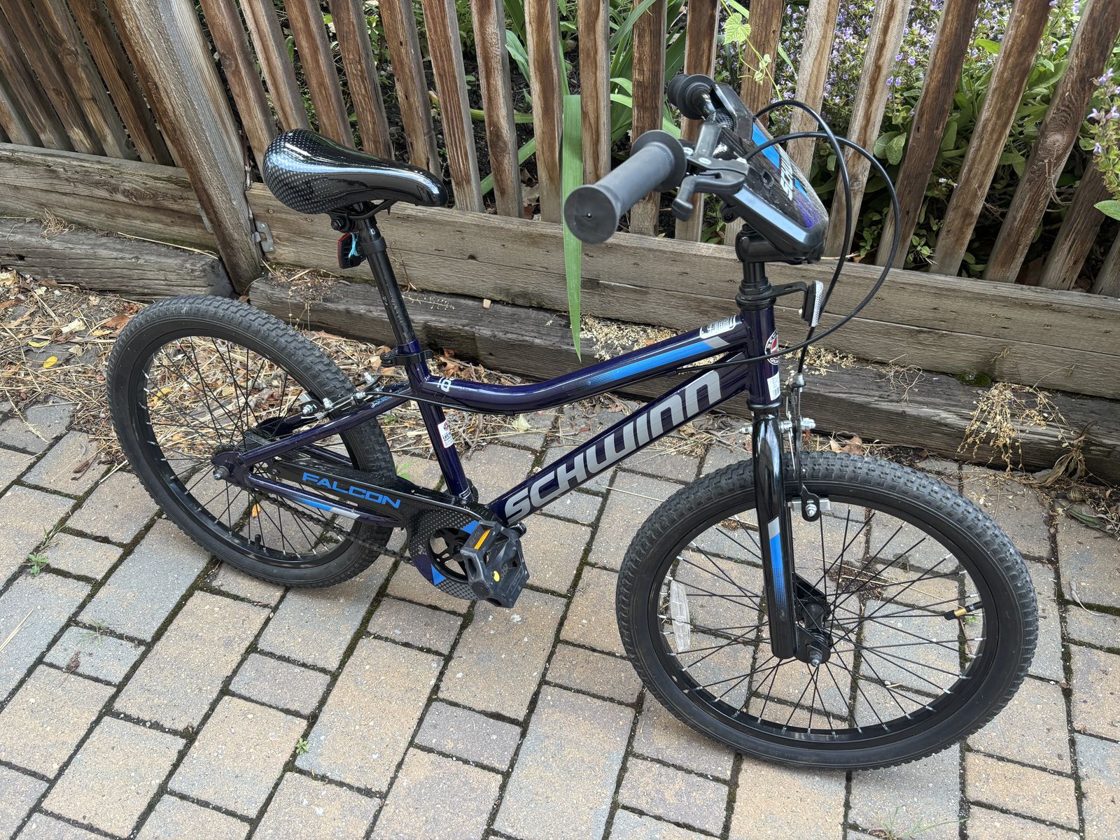 Schwinn Boy's 20" Falcon Single Speed Bike - Lightly Used