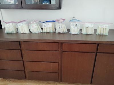 frozen breast milk