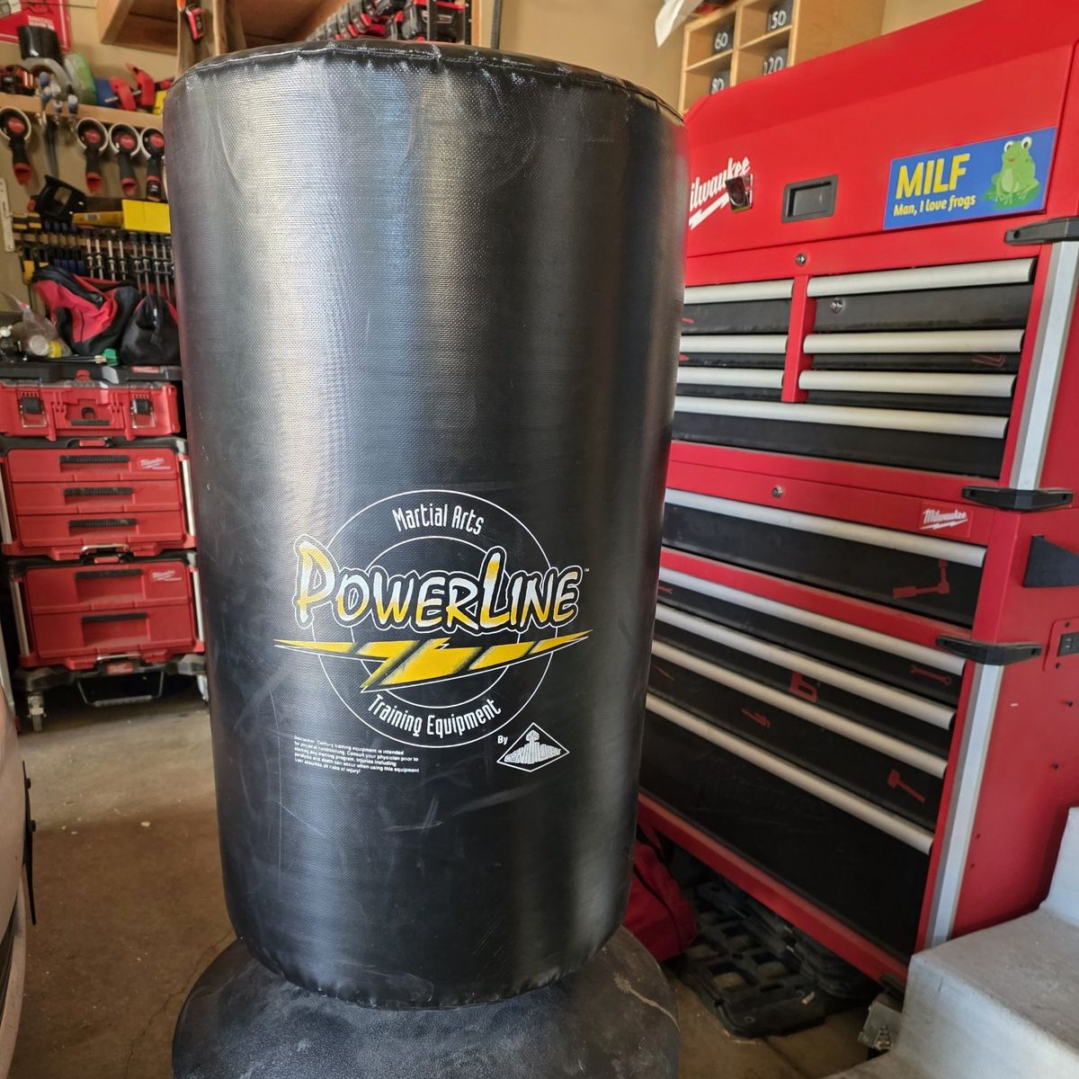 Martial Arts training bag.