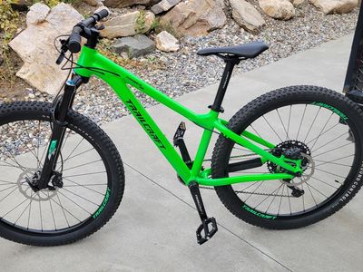 2024 Trailcraft Timber 26 Kids Mountain Bike
