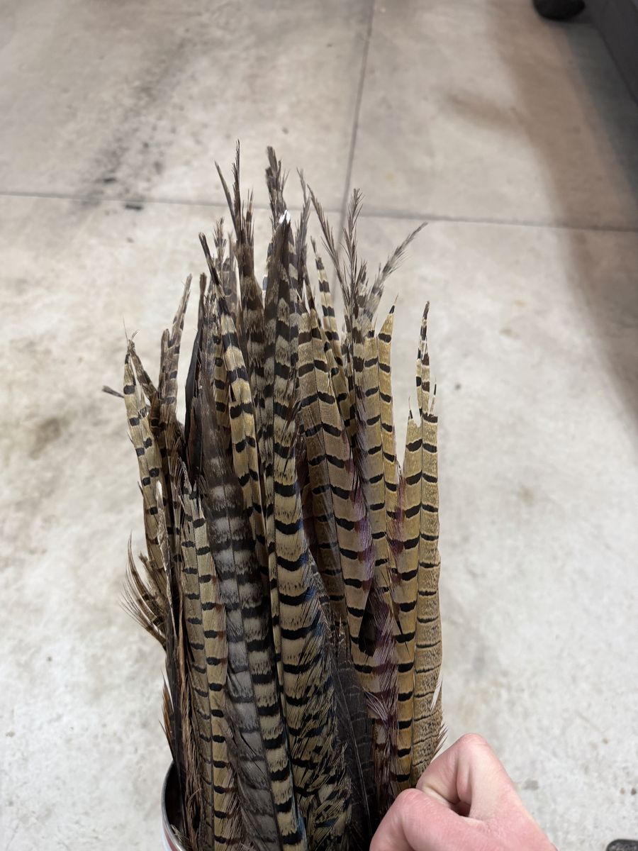 Pheasant (Crafting) Feathers