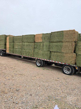 Beautiful 3x3x8 Alfalfa/Orchard Mix Hay