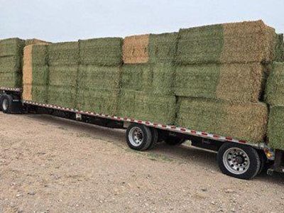Beautiful 3x3x8 Alfalfa/Orchard Mix Hay
