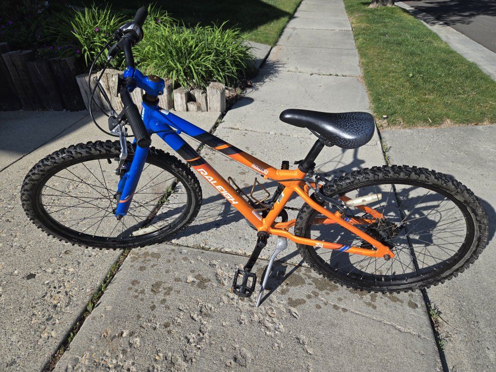 24 Raleigh Rowdy bike