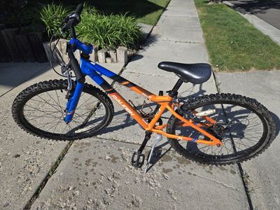 24 Raleigh Rowdy bike