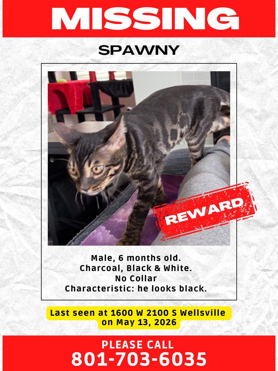 MISSING $500 Reward