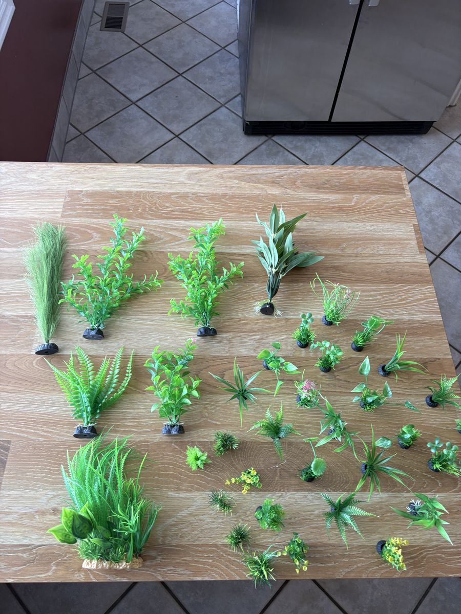 Fake Aquarium Plants