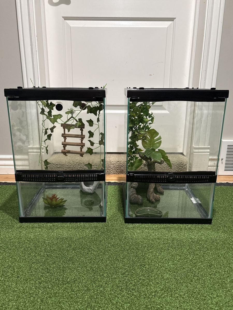 Reptile Cages with Decor